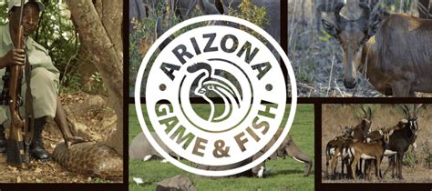 arizona game and fish locations|Lifesaving Water .